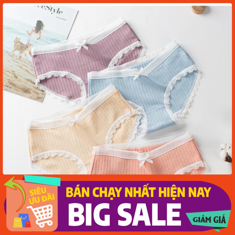 Sỉ Quần Lót Nơ Cotton Nữ Phối Ren Chất Đẹp cực Gợi cảm Rẻ Nhất Thị Trường