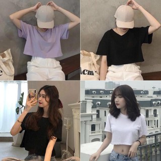 Áo croptop nữ hở eo cổ tim/cổ tròn trơn
