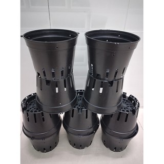 COMBO 10 Chậu nhựa trồng lan size 16