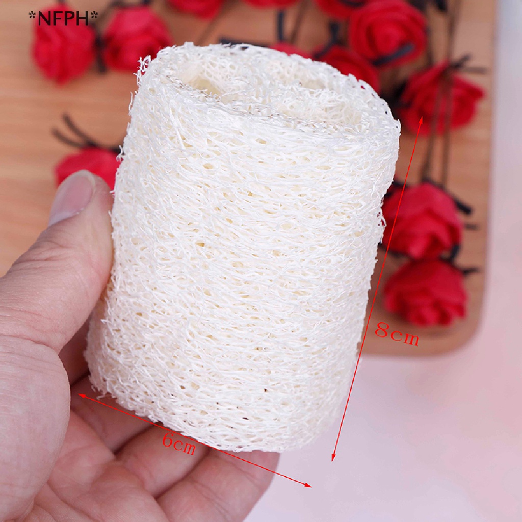 Set 6 Miếng Xơ Mướp Tự Nhiên Chà Rửa Vệ Sinh Nhà Bếp / Spa [Hot]