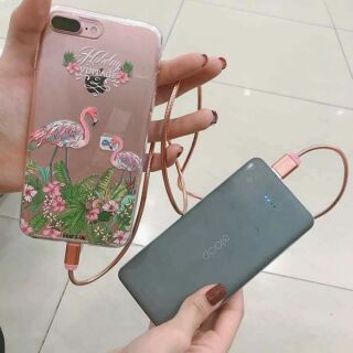 Sạc iphone Moshi