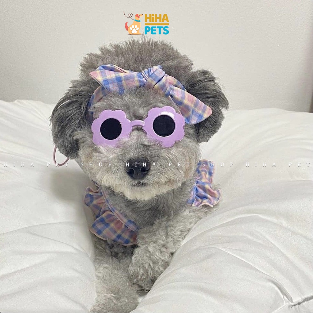 Mắt Kính Cho Chó Mèo Đi Bơi Phụ Kiện Kính Thời Trang Cho Thú Cưng Chụp Ảnh Dễ Thương Sành Điệu Hihapet.