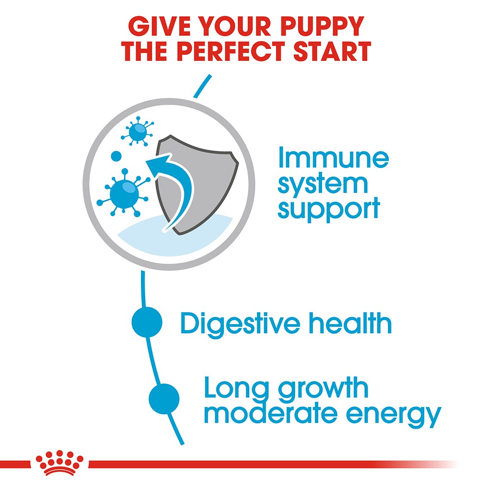Pate Royal Canin Maxi Puppy Cho Chó Con Giống Lớn (140g)