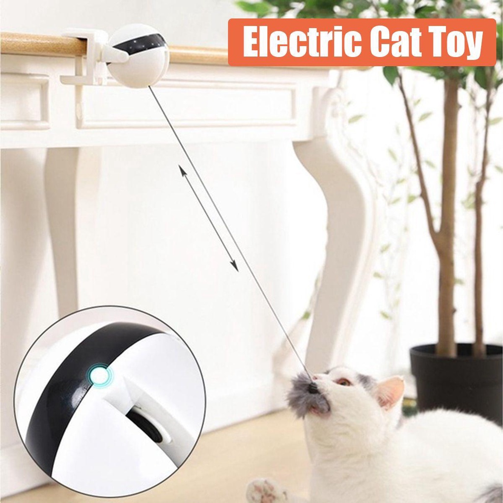 Đồ Chơi Con Quay Yo-Yo Cho Mèo