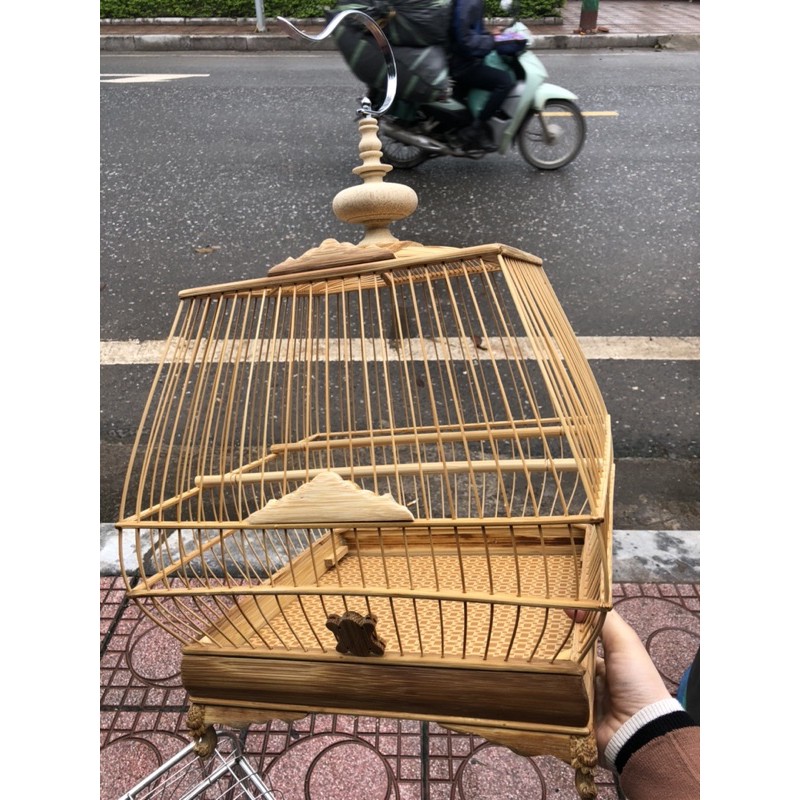 Lồng sinh nan thưa chào mào