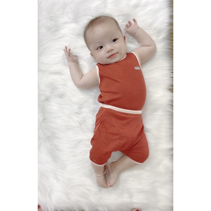 Cookie- Bộ ba lỗ sợi tre vân tăm