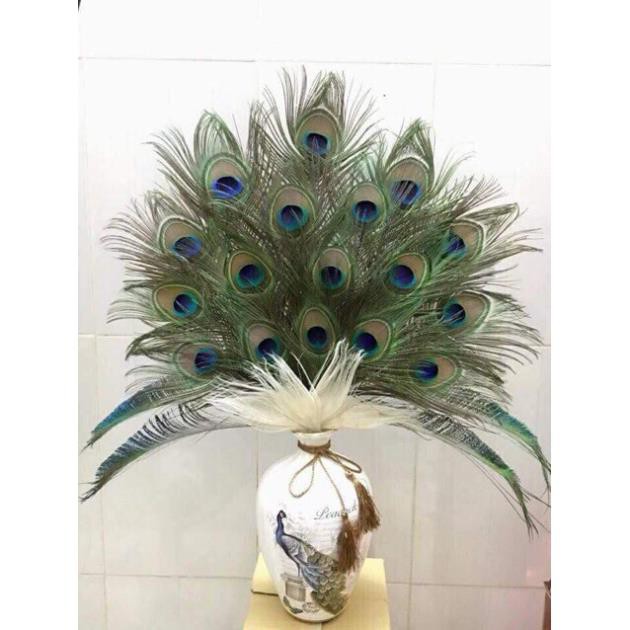 Combo 10 bình cắm lông công S2