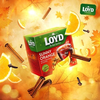 Trà Túi Lọc Loyd Vị Warm Raspberry 40g