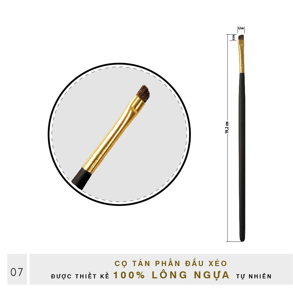 Set Cọ Trang Điểm Mắt Đầu Xéo BEALY