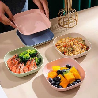 Set 8 đĩa lúa mạch vuông siêu cưng
