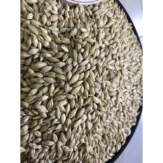 LÚA MẠCH (ĐẠI MẠCH-Gói 1KG)THỨC ĂN DINH DƯỠNG GÀ ĐÁ,BỒ CÂU,VẸT,HAMTER..