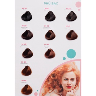 Thuốc Nhuộm Tóc Phủ Bạc Molokai (Lên màu đẹp)