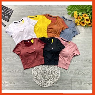 Áo croptop thun nữ ⚡ 𝗙𝗿𝗲𝗲𝘀𝗵𝗶𝗽 ⚡ Áo tập thể thao nữ co giãn 4 chiều