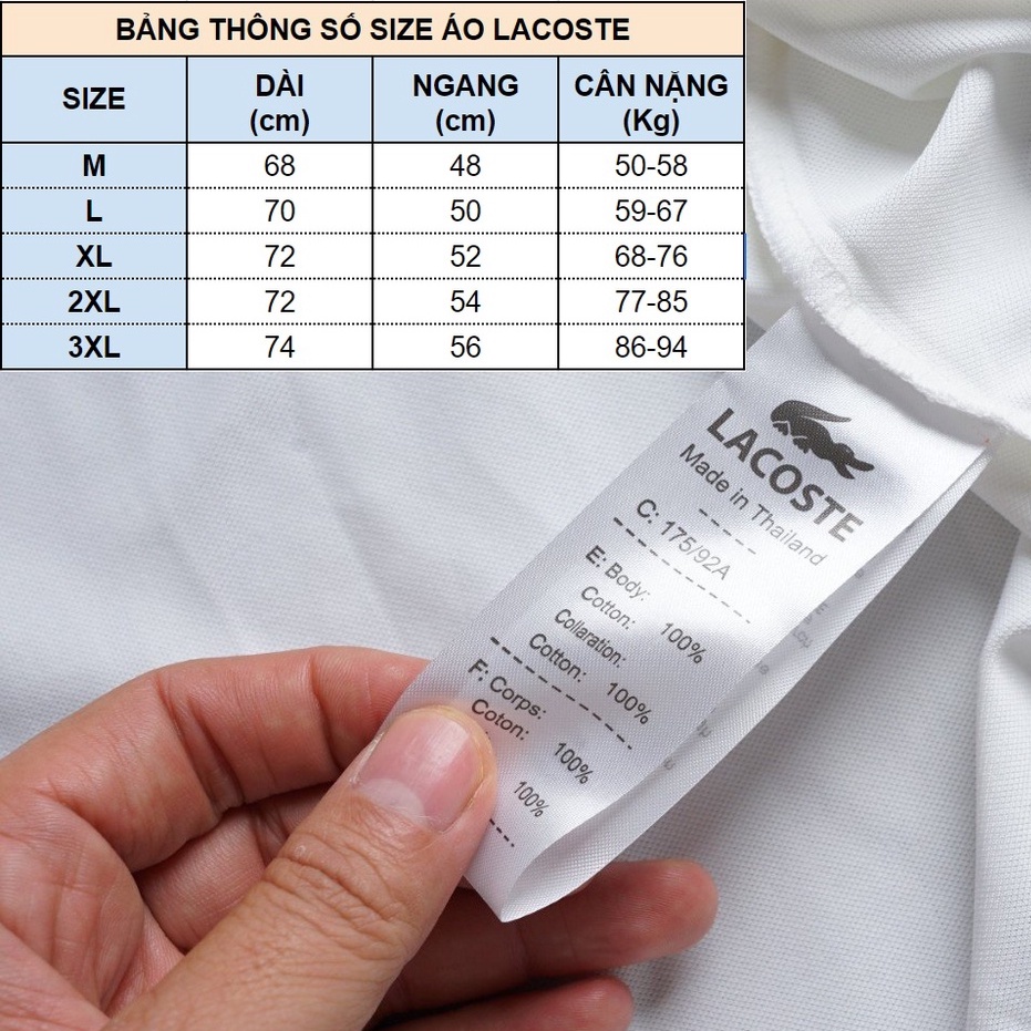 Áo polo nam Lacoste VNXK, áo phông có cổ. Vải cá sấu chống xù, chống nhăn, thoáng mát cho người mặc ALP005.