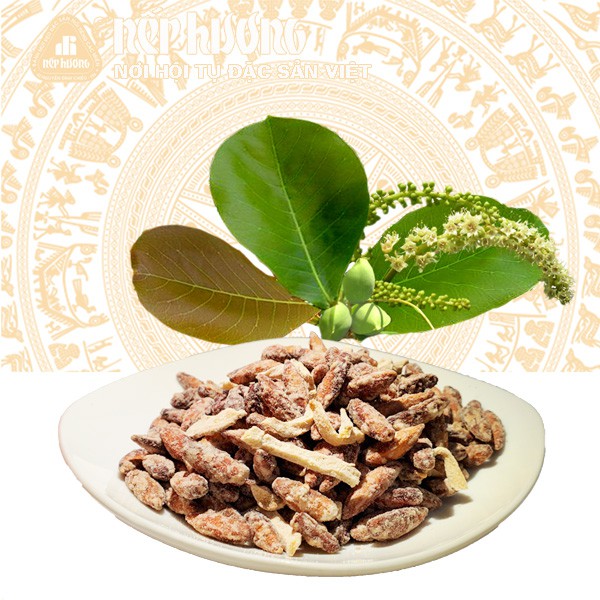 Hạt bàng côn đảo