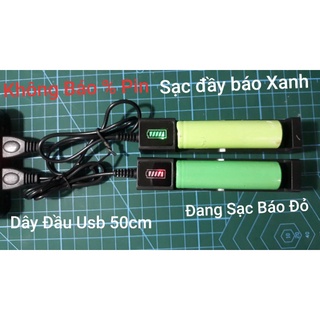 Sạc pin 18650 _ sạc 1 pin , cắm đầu usb