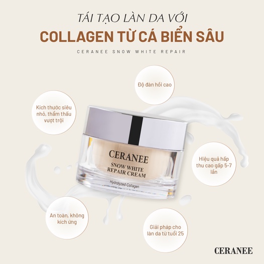 Kem Dưỡng Da Ceranee Chính Hãng Phục Hồi Da Dưỡng Ẩm Và Sáng Da Chống Lão Hoá Kem Dưỡng Tái Tạo Da Ceranee Hàn Quốc