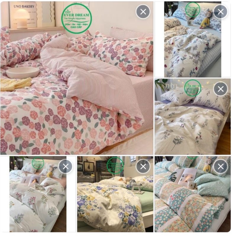 Tặng vỏ gối ôm, Bộ chăn ga gối 4 món, 100% cotton Living nhập khẩu cao cấp, Everdream nhiều mẫu, miễn phí bo chun | BigBuy360 - bigbuy360.vn