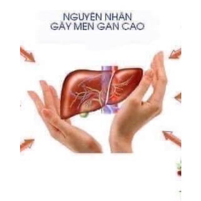 [Hàng Mỹ] Viên uống bổ gan Milk Thistle hộp gan xanh MỸ 180 viên và túi 60 viên date xa