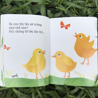Ehon Accototo - Nếu Tớ Lớn Lên Thì Sao?