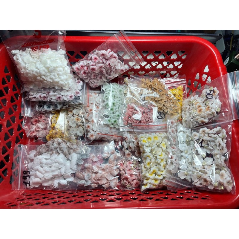 combo shopee susi oanh