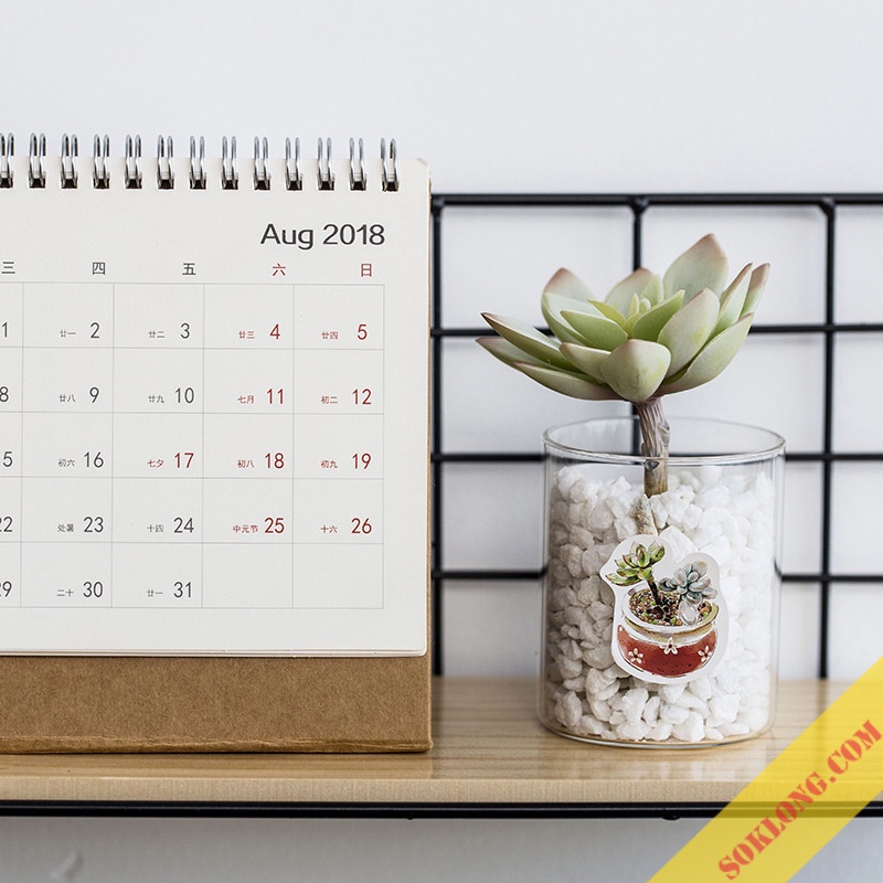 Sticker Hoa đá, cây xương rồng 50 miếng STI51 hộp nhãn dán trang trí bullet journal, thiệp handamde