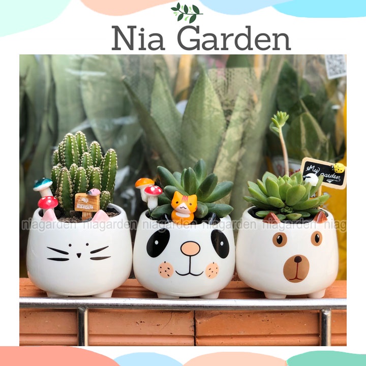 Chậu thú bằng sứ trồng sen đá cây mini để bàn Nia Garden N4