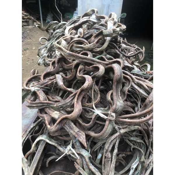 Cuộn Dây soắn rừng tự nhiên làm trang trí decor cây giả.Dây leo tường dài 5m đường kính 2-3cm