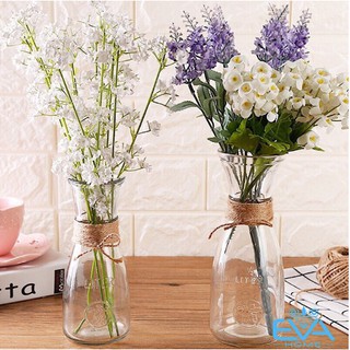 Lọ ,Bình Thủy Tinh Để Bàn Cắm Hoa Cực Đẹp Cỡ 350ML