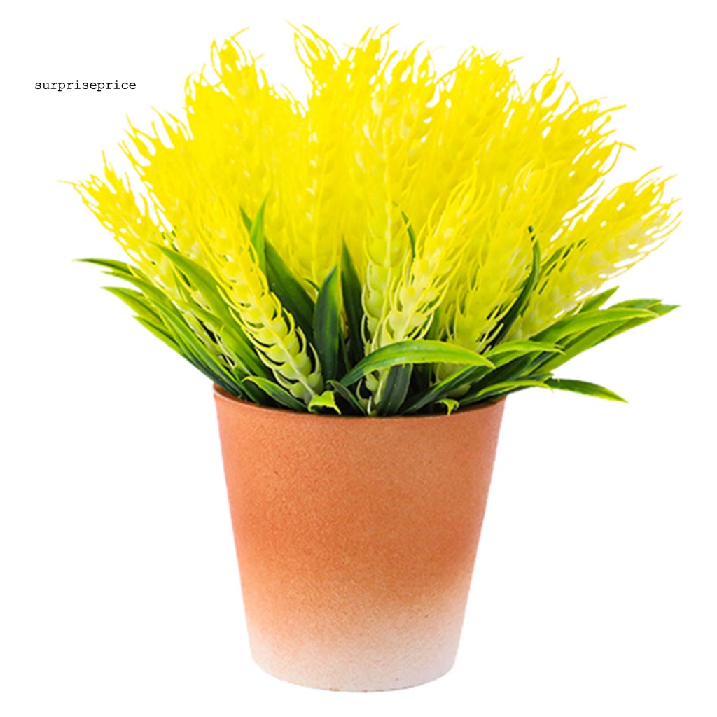 Chậu Cây Lúa Mì Nhân Tạo 6 Màu Độc Đáo Trang Trí Nhà Cửa / SPA