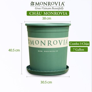 Combo 3 Chậu nhựa trồng cây MONROVIA 7 Gallon, chậu trồng cây, chậu cây cảnh mini, để bàn, treo ban công tường, MONROVIA