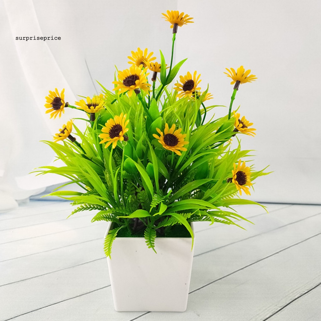 Spa 1 Bộ Chậu Cây Bonsai Thực Tế Bắt Mắt