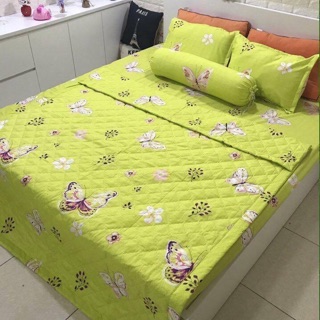 set chăn ga gối poly