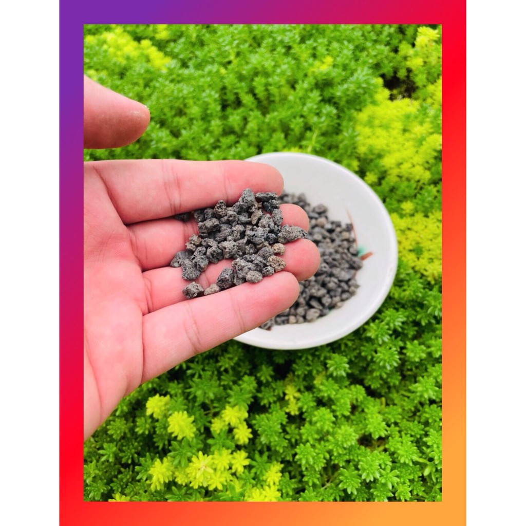 Đá nham thạch đen SONDA GARDEN (1kg) cho sen đá, xương rồng