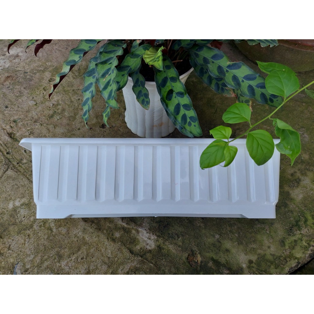 Chậu nhựa dài, chậu nuôi cá, khay chữ nhật trồng rau thông minh, chậu treo ban công