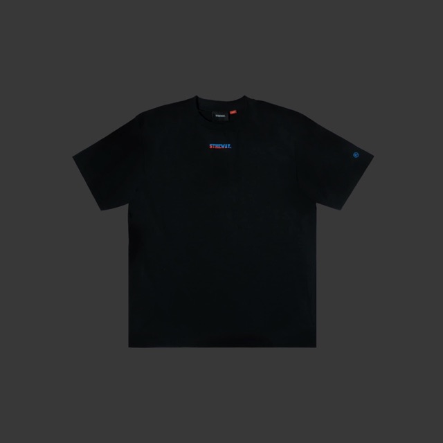 5THEWAY /two tone line/ New Tee - BLACK