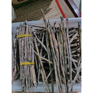 Hải Long Đen ( 10 con)