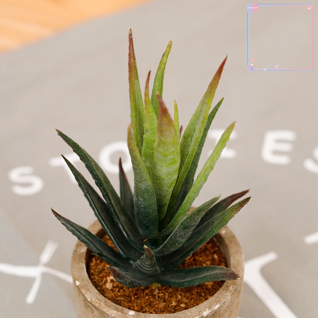 Chậu Cây Bonsai Mini Nhân Tạo Sống Động Dùng Trang Trí Phòng Khách