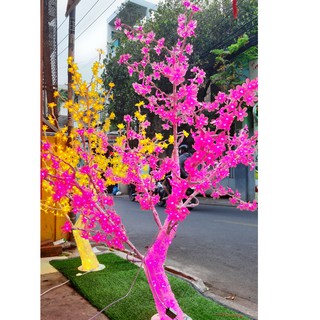 CÂY ĐÀO THÂN PHA LÊ ĐÈN LED 1M65 CAO CẤP