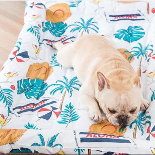 Chiếu điều hoà đệm nằm cho thú cưng(pet)