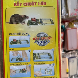 Bẫy đập chuột lớn (chuột cống cũng không thoát)