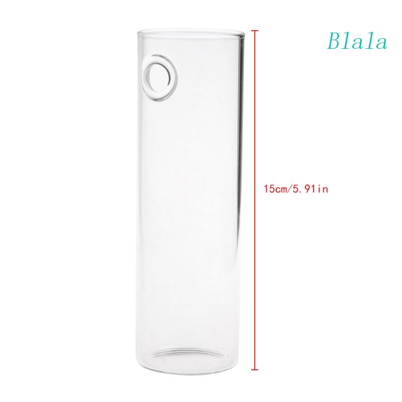 Chậu Kính Trồng Cây Treo Tường Trang Trí Nội Thất