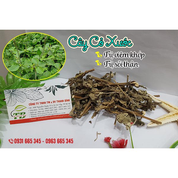 Cây Cỏ Xước 500g - Hàng Công Ty Sấy Khô - Loại 1