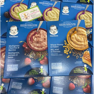 Bột ăn dặm Gerber cho bé từ 6 tháng của Canada (nhiều vị)