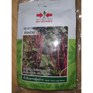 Hạt giống đậu đũa lùn tím