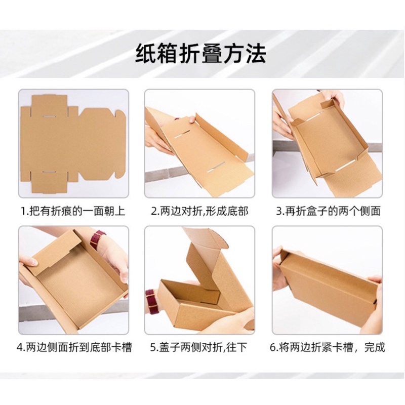[Cois N] Hộp carton Kraft Hoạt Hình Coisini Độc Quyền