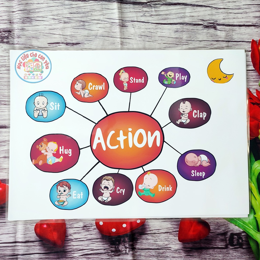 Sơ đồ tư duy 15 chủ đề giúp bé dễ dàng thuyết trình