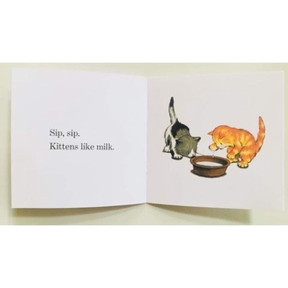 BISCUIT PHONICS MINI 24