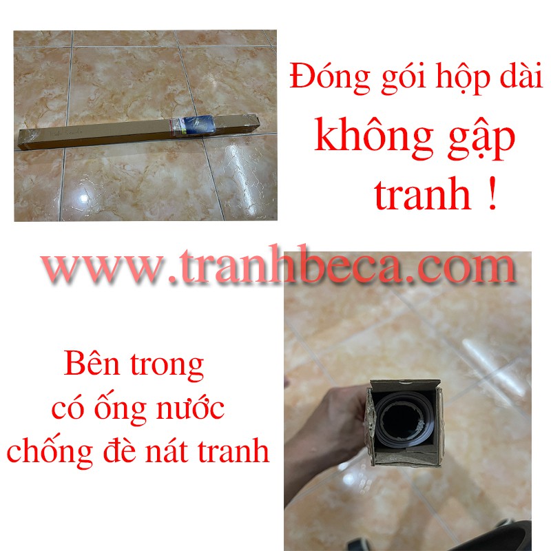 Tranh đáy nước dán hồ cá, có keo sẵn tặng kèm đồ dán