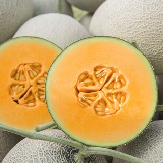 Hạt giống dưa lưới ruột cam